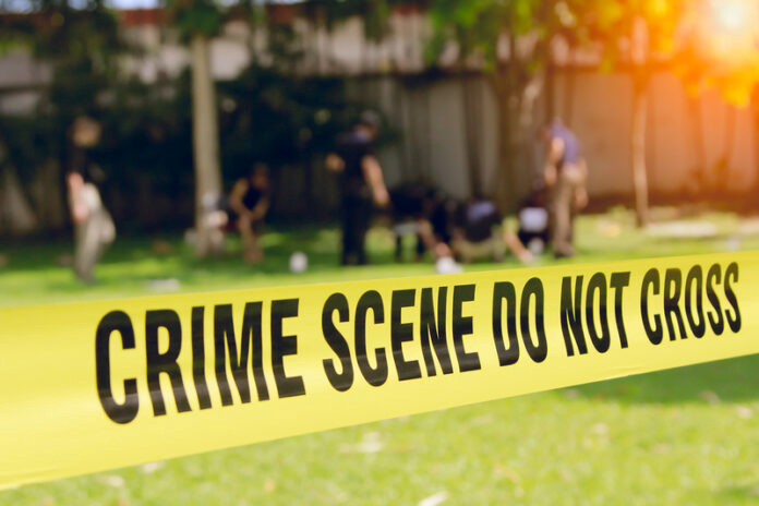 Human Remains Found in Los Angeles Backyard | Daily News Planet