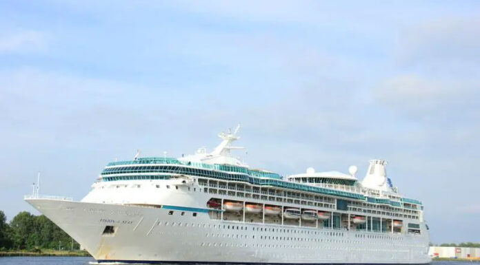 Man Missing After Falling Overboard From Cruise Ship Daily News Planet