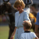 Princess Diana Rumors Erupt After Maxwell Comments