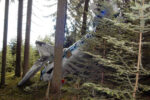 Politician Among 15 Killed in Plane Crash