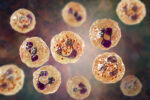 2 Dead, 11 Sick in University Virus Outbreak