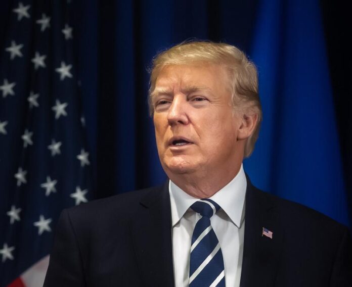 Donald Trump Official Portrait