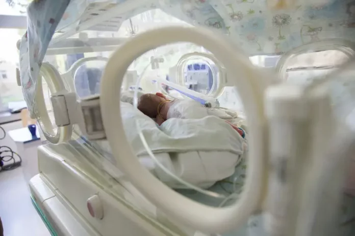 Premature Baby in Incubator