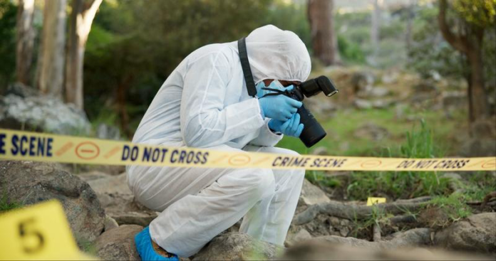 Crime Scene Investigation