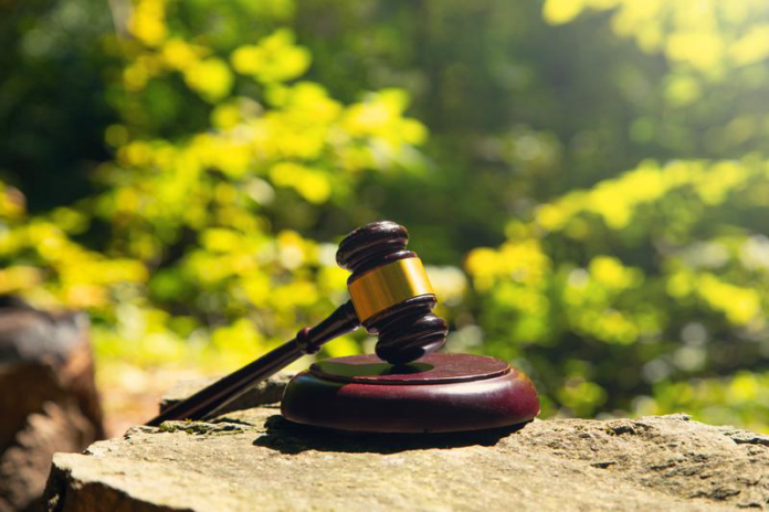 Cult Tragedy Claims 191 Lives (judge gavel forest dreamstime_s_476624076)